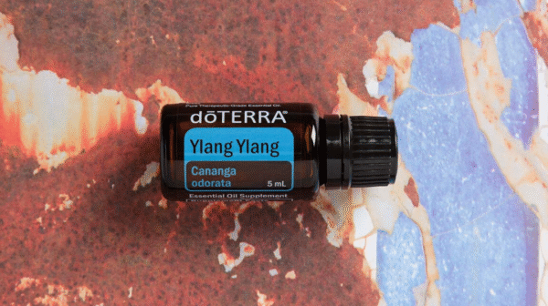 Ylang Ylang  Aroma Natural de Ylang Ylang 5 ml - Imagem 2