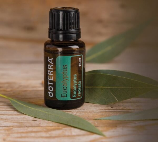 Eucalyptus Mix de Óleos Essenciais - Imagem 2