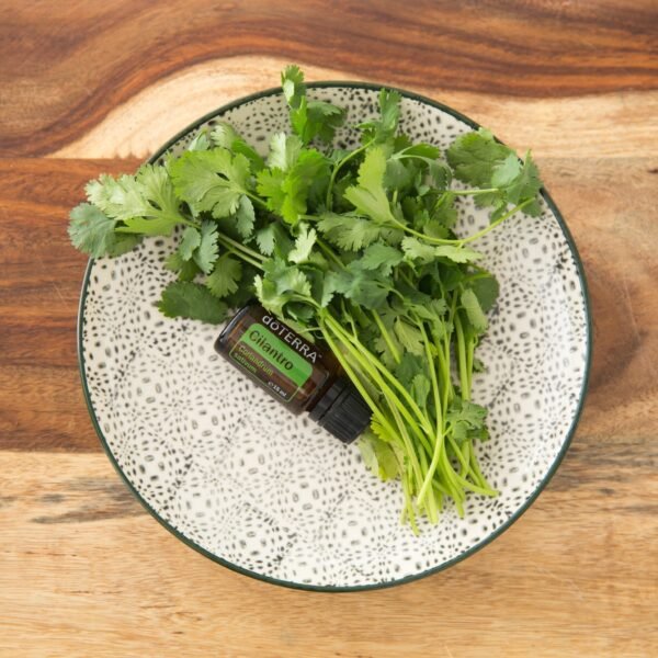 Cilantro Óleo Essencial  Coriandrum sativum (Coentro) - Imagem 2