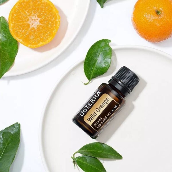 Wild Orange  Aroma Natural de Laranja-selvagem - Imagem 2
