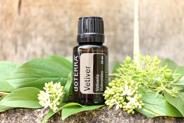 Vetiver  Aroma Natural de Vetiver - Imagem 3