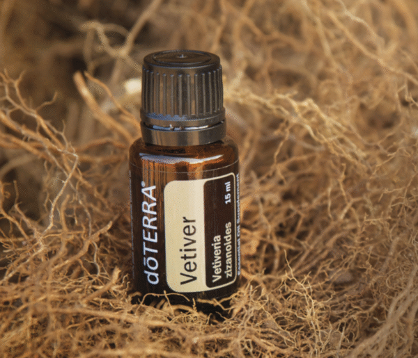 Vetiver  Aroma Natural de Vetiver - Imagem 2