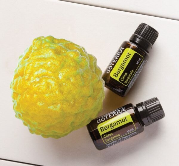 Bergamot Óleo Essencial Citrus bergamia (Bergamota) - Imagem 2